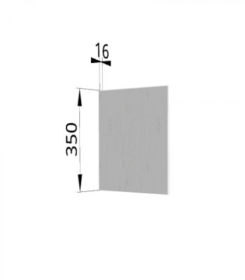 Панель торцевая (для шкафа горизонтального) ПГ Ройс (Графит софт) в Скале - skala.mebel54.com | фото