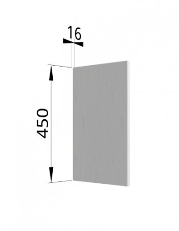 Панель торцевая (для шкафа горизонтального высокого) ВПГ Ройс (Графит софт) в Скале - skala.mebel54.com | фото