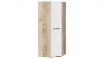 Шкаф угловой с 1-ой глухой дверью «Фьюжн» Дуб делано/Белый глянец в Скале - skala.mebel54.com | фото